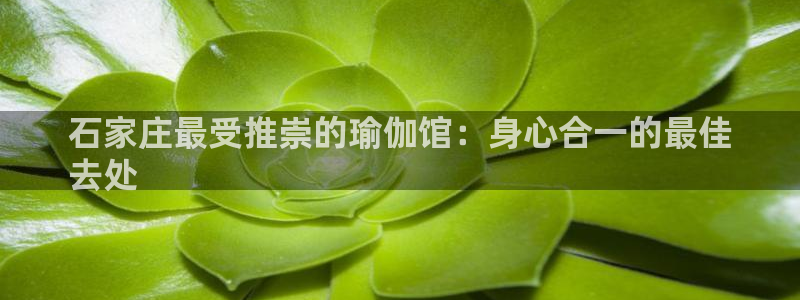 买足球平台哪个比较好
