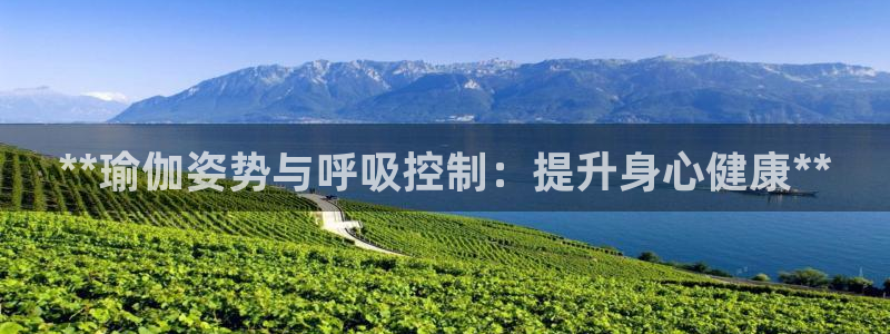 欧洲杯彩票哪里买