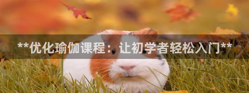 2024欧洲杯竞猜网址