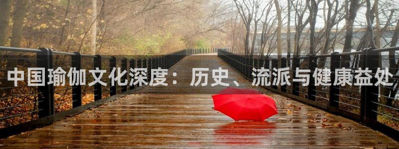 十大靠谱外围买球网站
