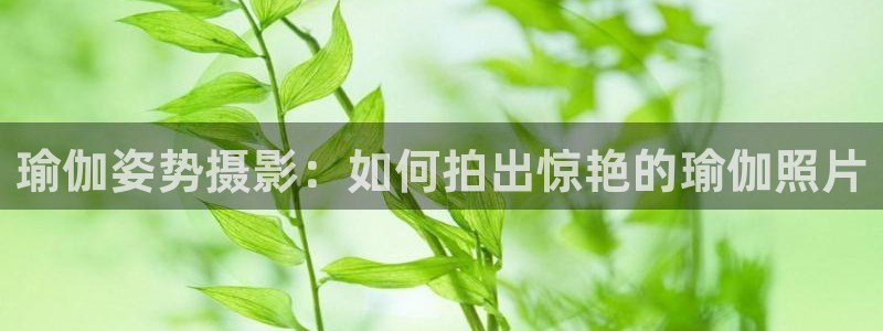 2024年欧洲杯投注
