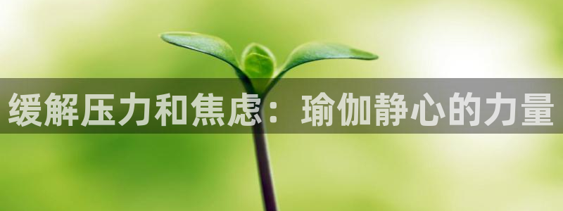 welcome欧洲杯