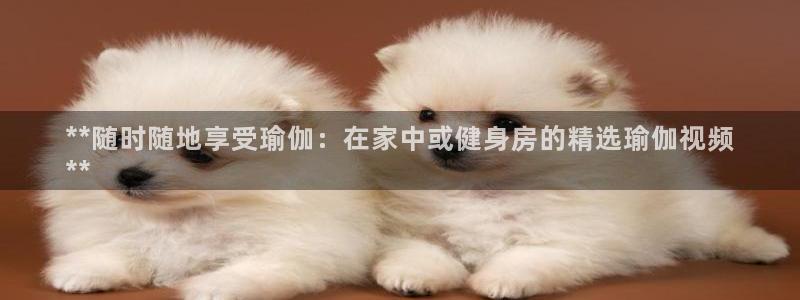 欧洲杯投注官方网站