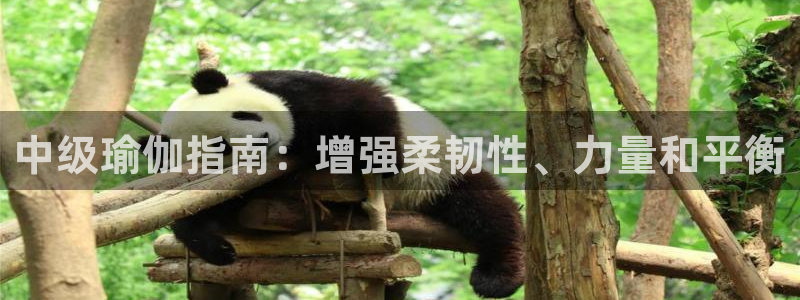 欧洲杯决赛彩票网上购买