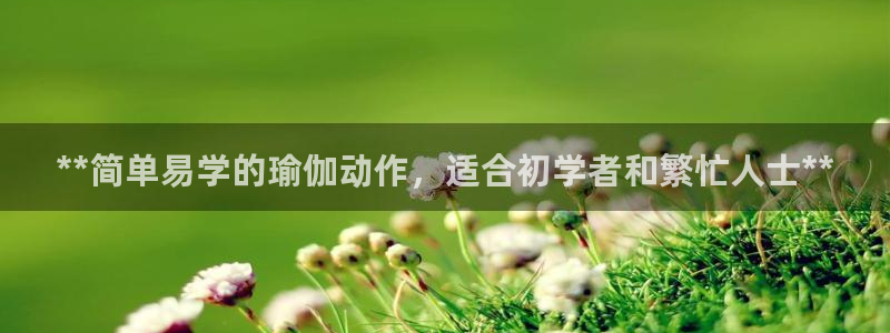 欧洲杯在哪个网站购买