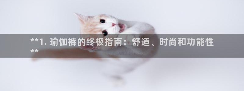 欧洲杯买注在哪买