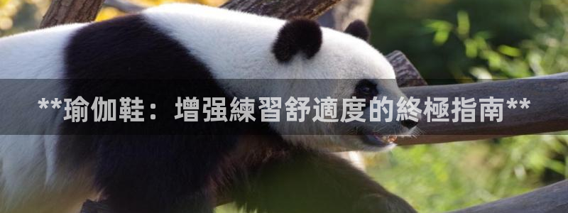 欧洲杯最新赛程