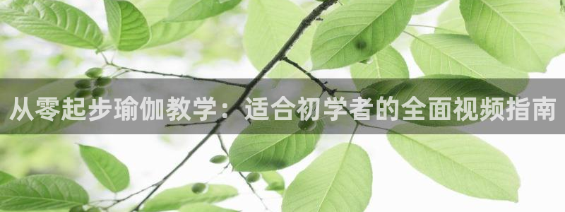 欧洲杯靠谱买球平台