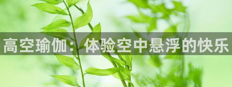 欧洲杯彩票哪里买